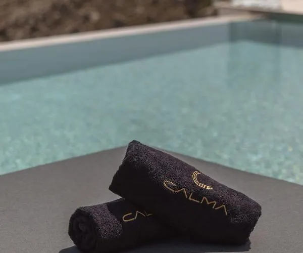 Calma Mykonos דירה *