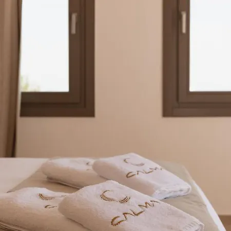 Calma Mykonos Apartment Psarou (Mykonos)