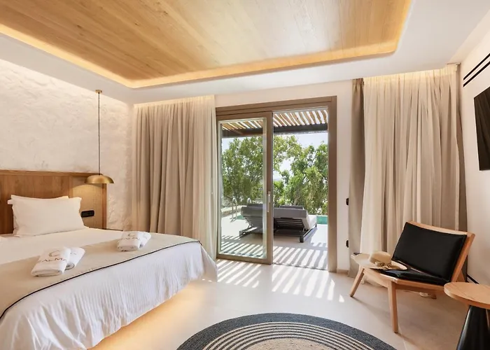 Calma Mykonos Διαμέρισμα Ψαρού